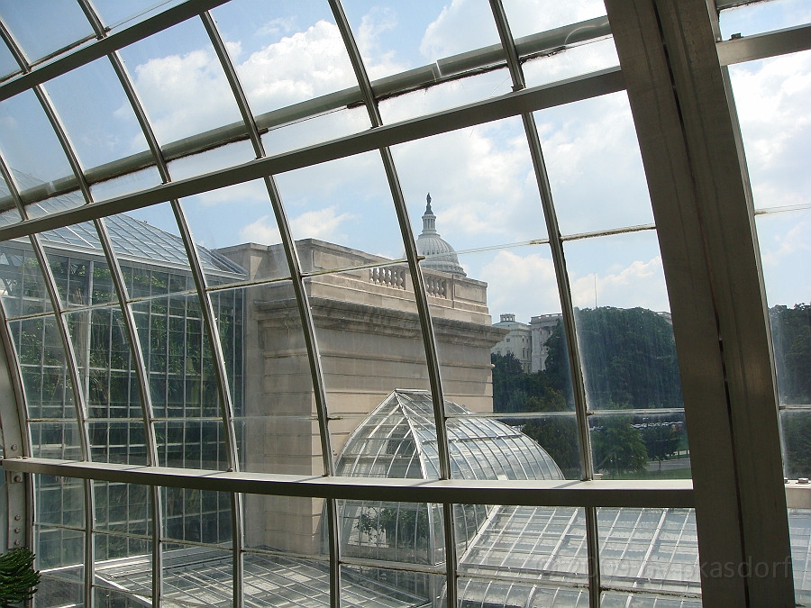 Washington DC [2009 July 04] 184.JPG - Scenes from The United States Botanic Garden